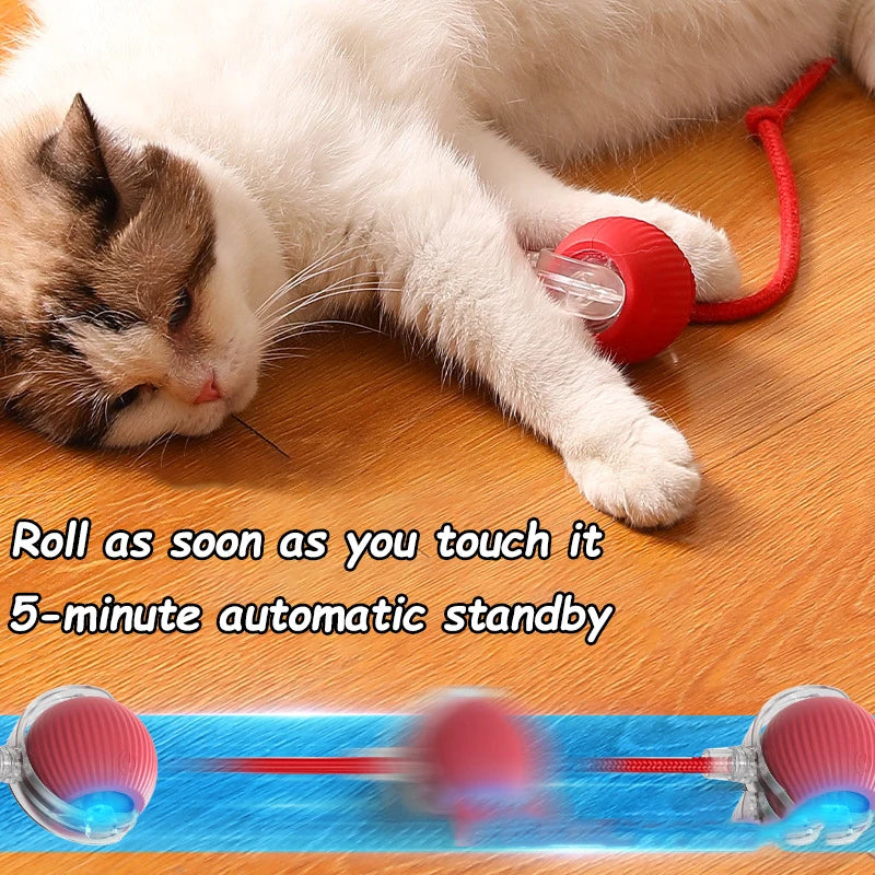 Smart Rolling Cat Ball – Rechargeable Interactive Pet Toy with Faux Tail & Motion Sensor