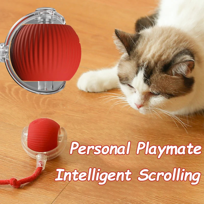 Smart Rolling Cat Ball – Rechargeable Interactive Pet Toy with Faux Tail & Motion Sensor