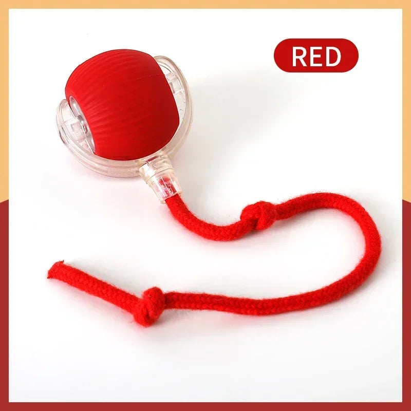 Smart Rolling Cat Ball – Rechargeable Interactive Pet Toy with Faux Tail & Motion Sensor