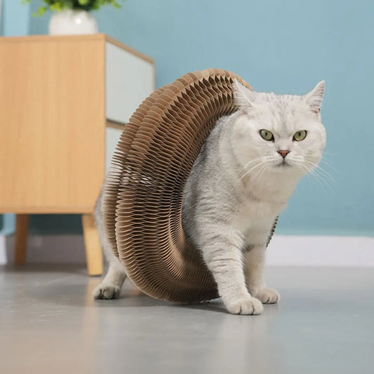 Magic Organ Foldable Cat Scratching Board – 2-in-1 Corrugated Scratcher & Tunnel Toy with Bell Ball