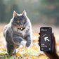 REFLECTIVE AIRTAG CAT COLLAR